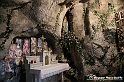 VBS_1234 - Fioritura narcisi a Castelnuovo Nigra 2023